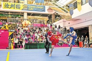必赢体育官方入口-不止于武术，看“沧州擂”何以破圈|沧州市|河北省|南川市|赛事|擂台_新浪新闻